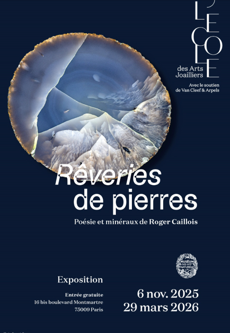 Exposition ROGER CAILLOIS